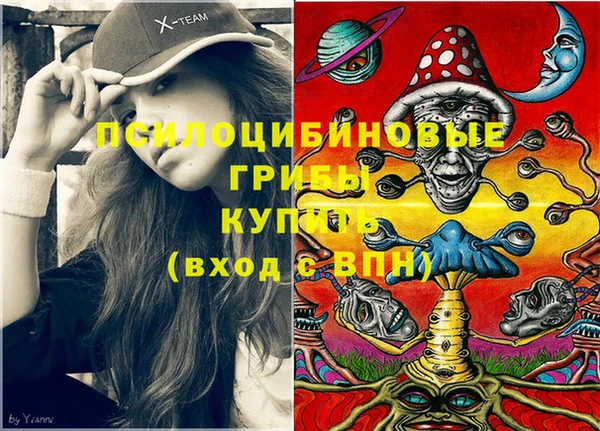 гидра Аркадак