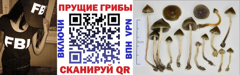 Галлюциногенные грибы мицелий  Костомукша 